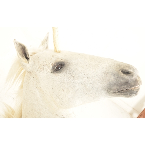 217 - Of natural history / taxidermy interest - a large white horse / unicorn head. The horse with white m... 