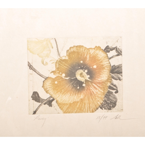 363 - Fred Nall Hollis (1949 - 2024) - Limited edition coloured etching titled 'Pansy' numbered 15/99. Sig... 