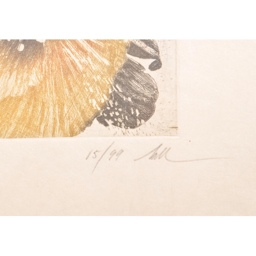 363 - Fred Nall Hollis (1949 - 2024) - Limited edition coloured etching titled 'Pansy' numbered 15/99. Sig... 