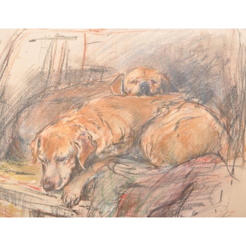 371 - A vintage 20th century oil pastel drawing of two Labrador dogs in the boot of a car. Signed by artis... 