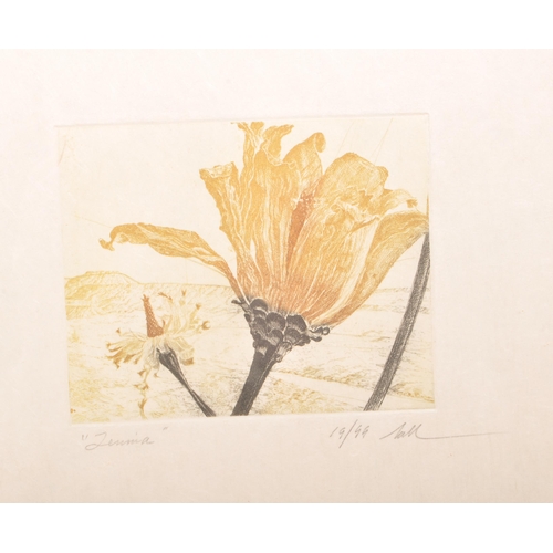 393 - Fred Nall Hollis (1949 - 2024) - Limited edition coloured etching titled 'Zennina' numbered 19/99. S... 