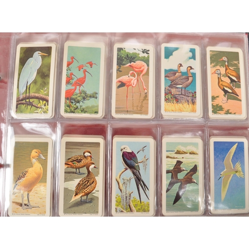 491 - A large collection of 20th century cigarette cards, housed in four albums and featuring examples fro... 