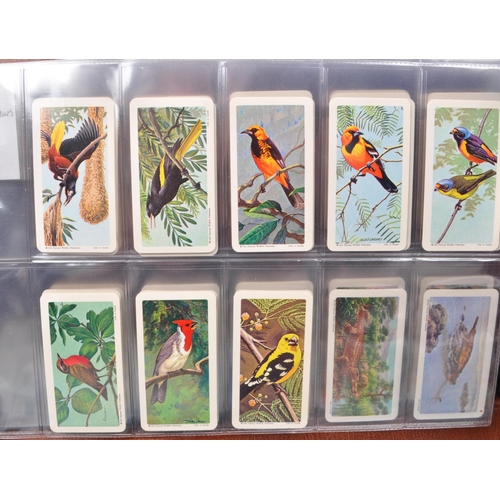 495 - A large collection of 20th century cigarette cards, housed in six albums and featuring examples from... 