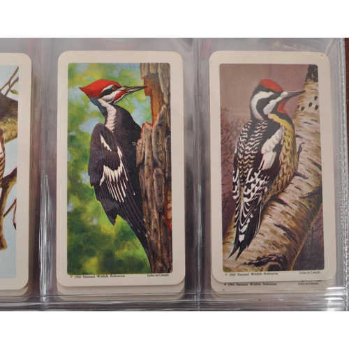 495 - A large collection of 20th century cigarette cards, housed in six albums and featuring examples from... 