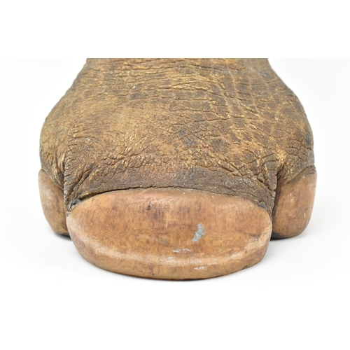 151 - Of natural history interest - a Victorian 19th century mounted Rhinoceros foot doorstop with wooden ... 