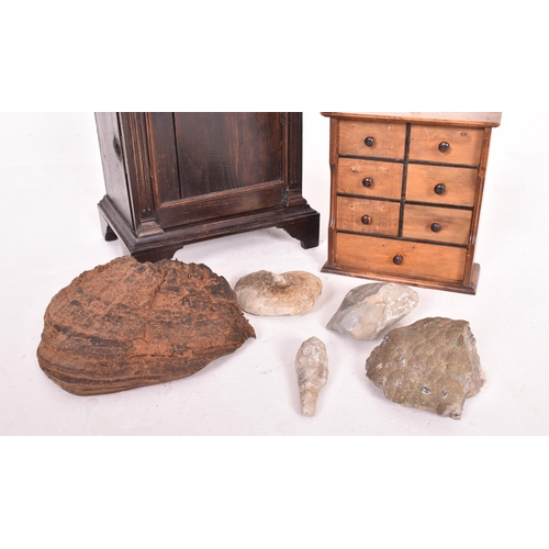 29 - Natural History / Curios - a selection of 19th century and later fungi / fossils together with a tab... 