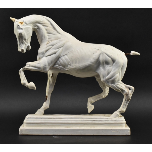 50 - After Domenico Brucciani (1815-1880) - an early 20th century circa 1900 anatomical plaster horse stu... 