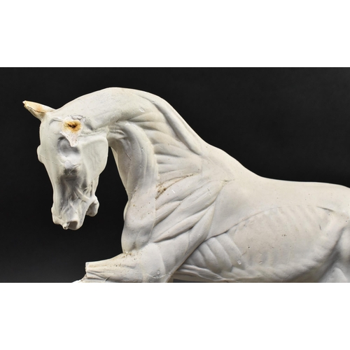 50 - After Domenico Brucciani (1815-1880) - an early 20th century circa 1900 anatomical plaster horse stu... 