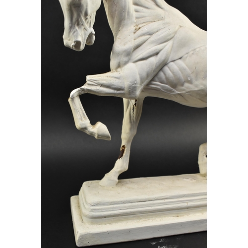 50 - After Domenico Brucciani (1815-1880) - an early 20th century circa 1900 anatomical plaster horse stu... 