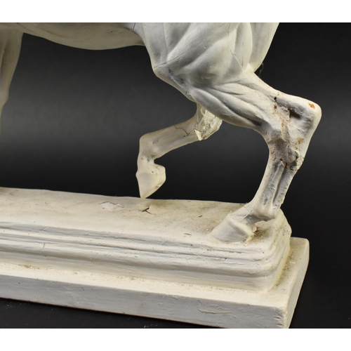 50 - After Domenico Brucciani (1815-1880) - an early 20th century circa 1900 anatomical plaster horse stu... 