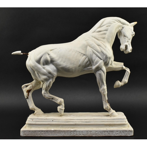 50 - After Domenico Brucciani (1815-1880) - an early 20th century circa 1900 anatomical plaster horse stu... 