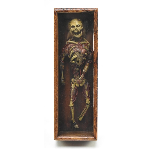 90 - A 19th century Italian bone, wax and wire worked Memento Mori or Anitomical cadaver / skeleton model... 