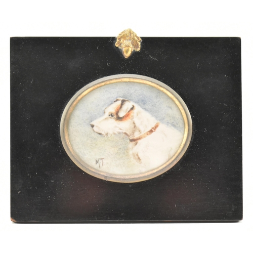 207 - An Edwardian circa 1902 miniature portrait on ivory of a terrier dog. Dog pictured from chest up in ... 