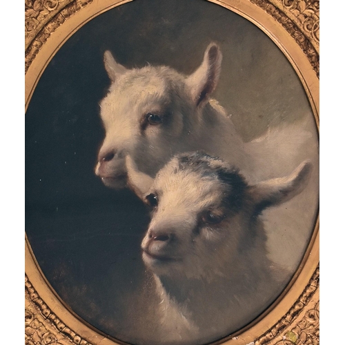 209 - Believed Thomas William Earl (British, 1810-1876) - Two Kid Goats - A Victorian 19th century oil on ... 