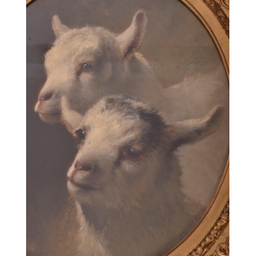 209 - Believed Thomas William Earl (British, 1810-1876) - Two Kid Goats - A Victorian 19th century oil on ... 