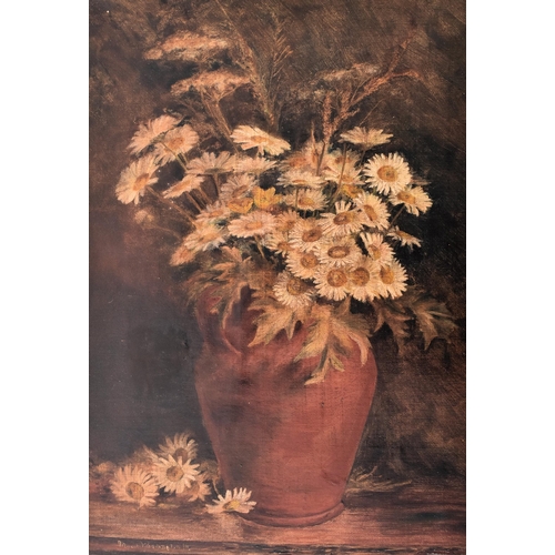 219 - An early 20th century still life of daisies oil on canvas painting. Depicting a terracotta vase with... 