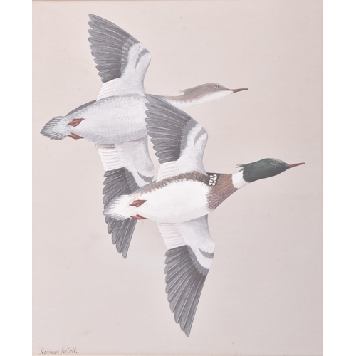 225 - Norman Arlott (British, 1947-2022) - Red Breasted Merganser - A 20th century gouache and watercolour... 