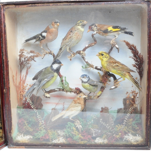 316 - Two vintage early 20th century glazed cases containing Taxidermy birds in naturalistic settings, one... 