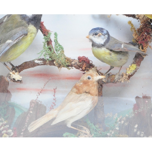 316 - Two vintage early 20th century glazed cases containing Taxidermy birds in naturalistic settings, one... 