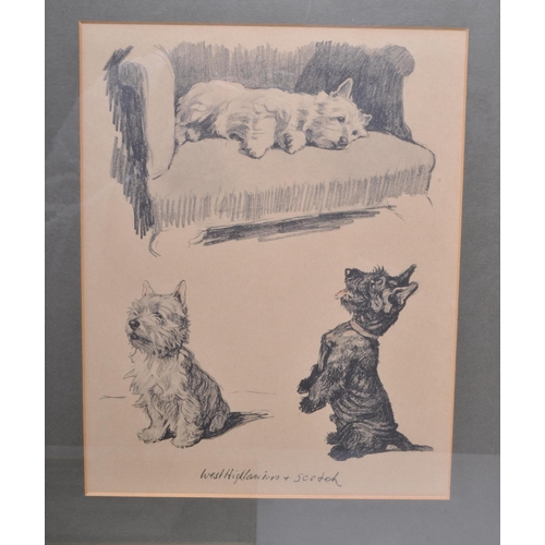 368 - After Cecil Aldin (1970 - 1935) - Three prints of 1935 dog pencil sketches. Comprised of dog breeds ... 