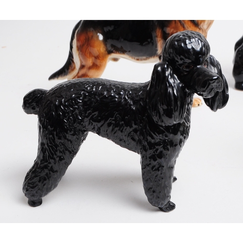 39 - Collection of 20th century porcelain dog figurines, comprised of a Beswick Poodle dog sitting on a b... 