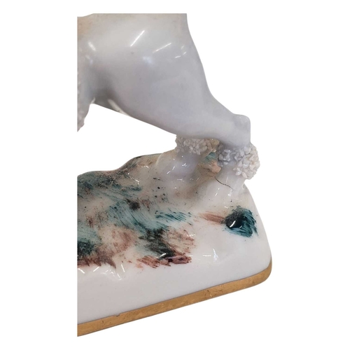 133 - A pair of 19th century Staffordshire poodle dogs. Porcelain china construction the dogs standing on ... 