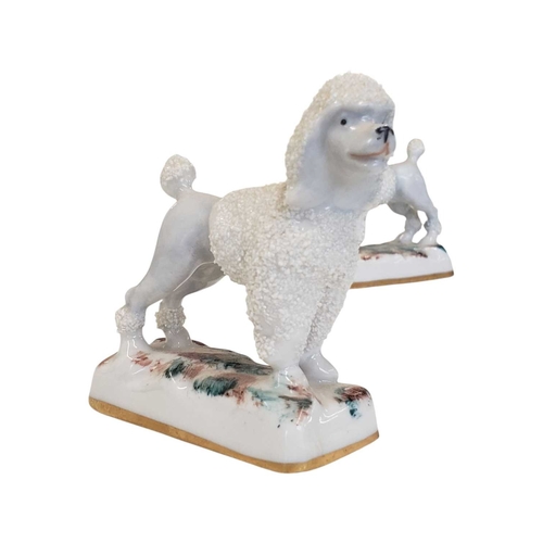 133 - A pair of 19th century Staffordshire poodle dogs. Porcelain china construction the dogs standing on ... 