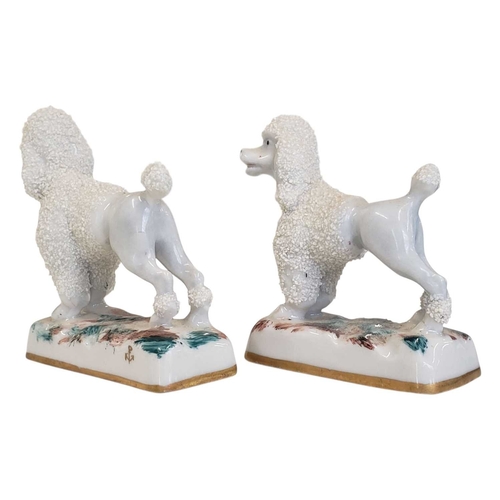 133 - A pair of 19th century Staffordshire poodle dogs. Porcelain china construction the dogs standing on ... 