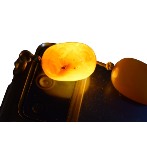 62 - A vintage egg yolk amber bead necklace and earrings. The necklace with large knotted amber beads. Th... 