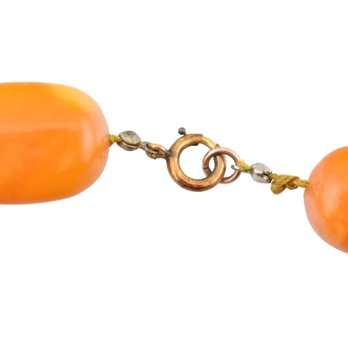 62 - A vintage egg yolk amber bead necklace and earrings. The necklace with large knotted amber beads. Th... 