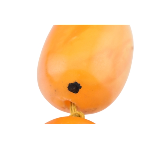 62 - A vintage egg yolk amber bead necklace and earrings. The necklace with large knotted amber beads. Th... 