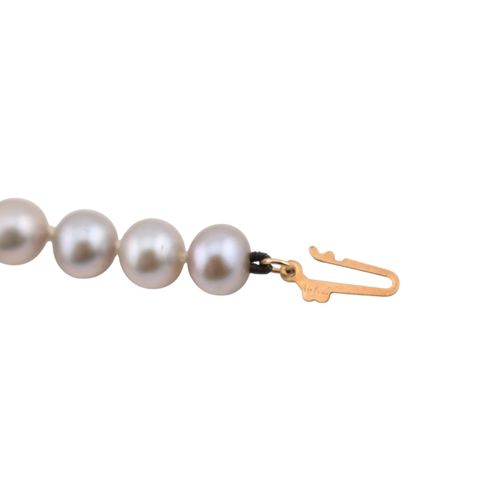 311 - A 14ct gold and grey cultured pearl necklace. Weight 23g. Pearls 6mm diam. Measures 45cm approx... 