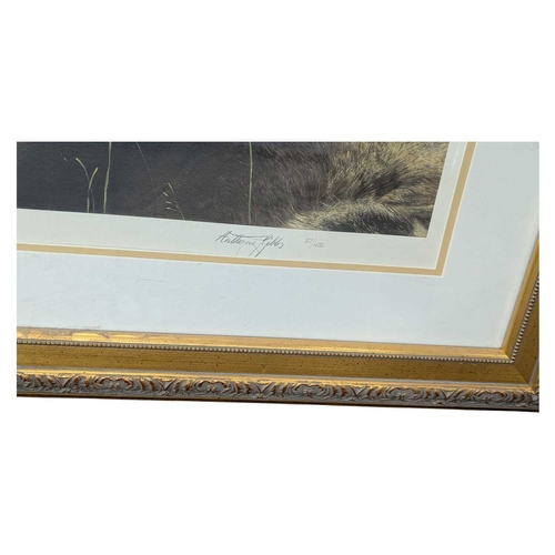 624 - Anthony Gibbs (B. 1951) - Limited Edition signed print depicting a lion, the piece titled Punchy. Fr... 