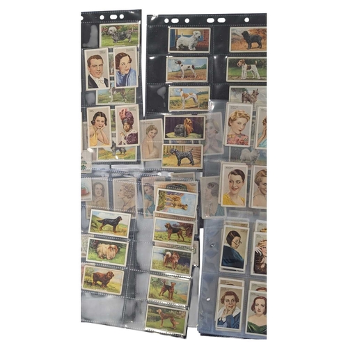 544 - A collection of 20th century cigarette cards. The collection including examples from Wills and Galla... 