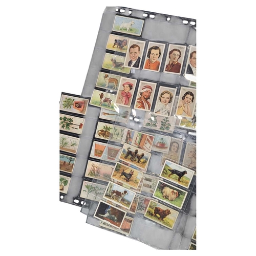 544 - A collection of 20th century cigarette cards. The collection including examples from Wills and Galla... 