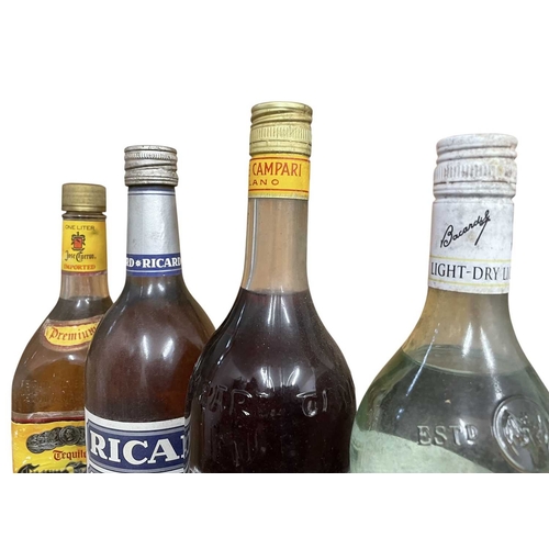 221 - A collection of eight vintage and later bottles of spirits and liqueurs. The lot to inclue a bottle ... 