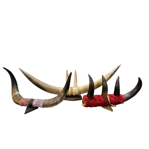 Lot 557       