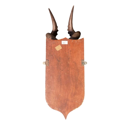 631 - Of Natural History/Taxidermy Interest - a pair of wooden wall mounted Cape Red Hartebeest (Alcelaphu... 