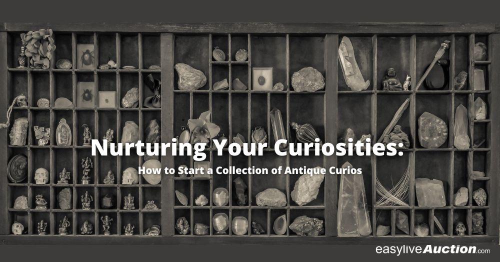 Nurturing Your Curiosities: How to Start a Collection of Antique Curios